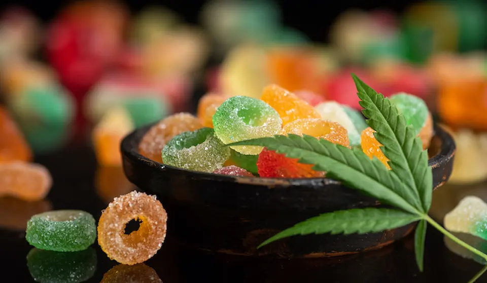 Why Are THC Gummies The New Favorite Of The Gaming Industry?